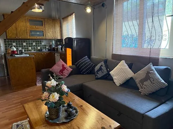 Merkez Kaleici Muhtesem Bahceli Villa *