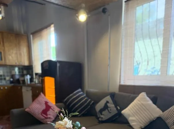 Merkez Kaleici Muhtesem Bahceli Villa