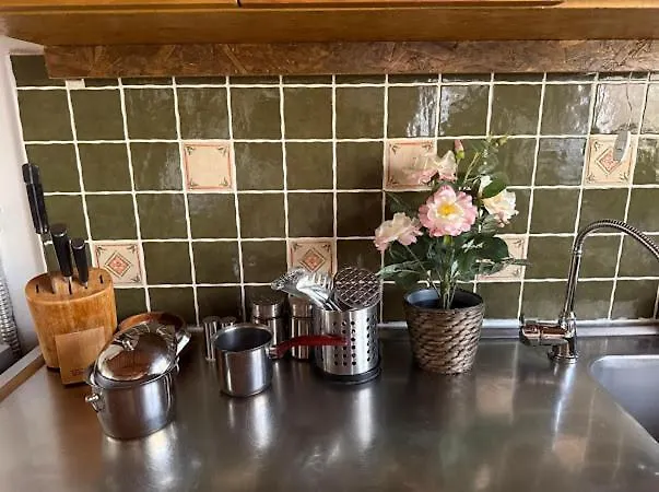 Merkez Kaleici Muhtesem Bahceli Villa Antalya