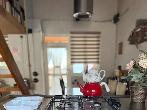 Merkez Kaleici Muhtesem Bahceli Villa