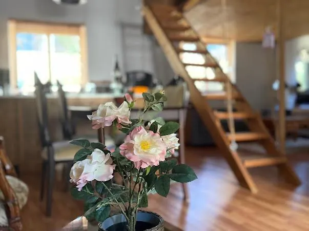 Merkez Kaleici Muhtesem Bahceli Villa *