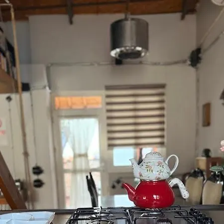 Merkez Kaleici Muhtesem Bahceli Villa Antalia