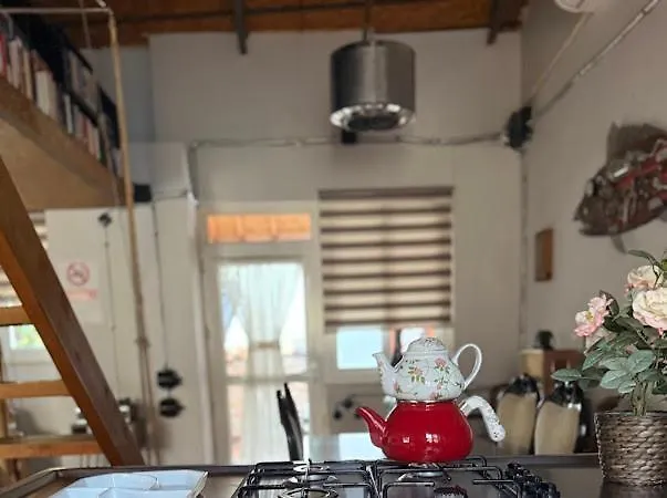 Merkez Kaleici Muhtesem Bahceli Villa Antalia
