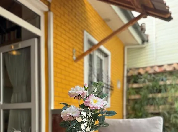 Merkez Kaleici Muhtesem Bahceli Willa *