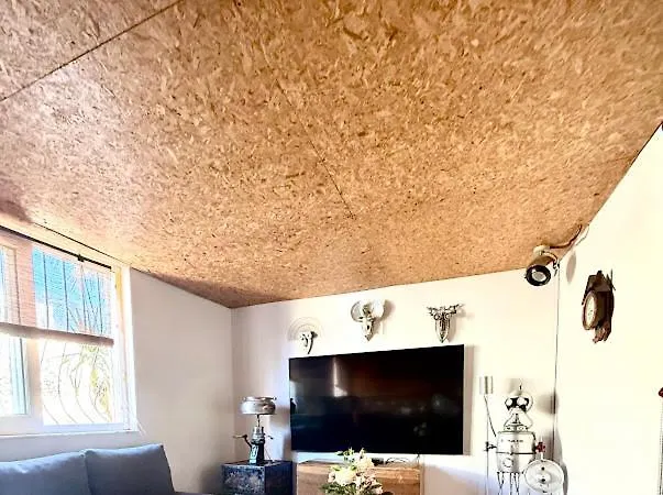 Merkez Kaleici Muhtesem Bahceli Willa *