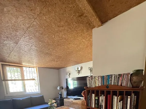 Merkez Kaleici Muhtesem Bahceli